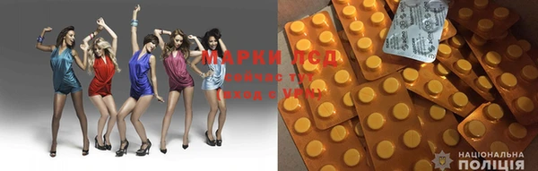 ГАЛЛЮЦИНОГЕННЫЕ ГРИБЫ Белокуриха