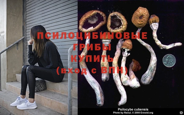 ECSTASY Баксан
