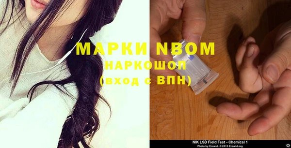 ГАЛЛЮЦИНОГЕННЫЕ ГРИБЫ Белокуриха