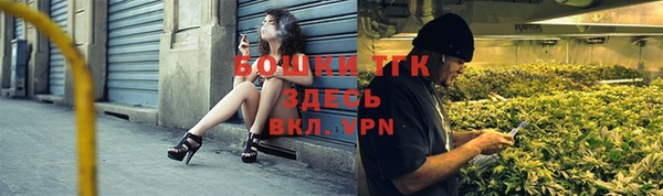 ГАЛЛЮЦИНОГЕННЫЕ ГРИБЫ Белокуриха