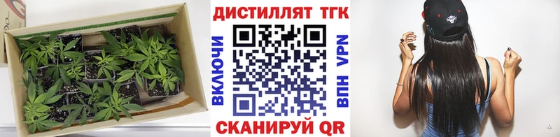 ТГК гашишное масло  купить наркотики сайты  Лыткарино 