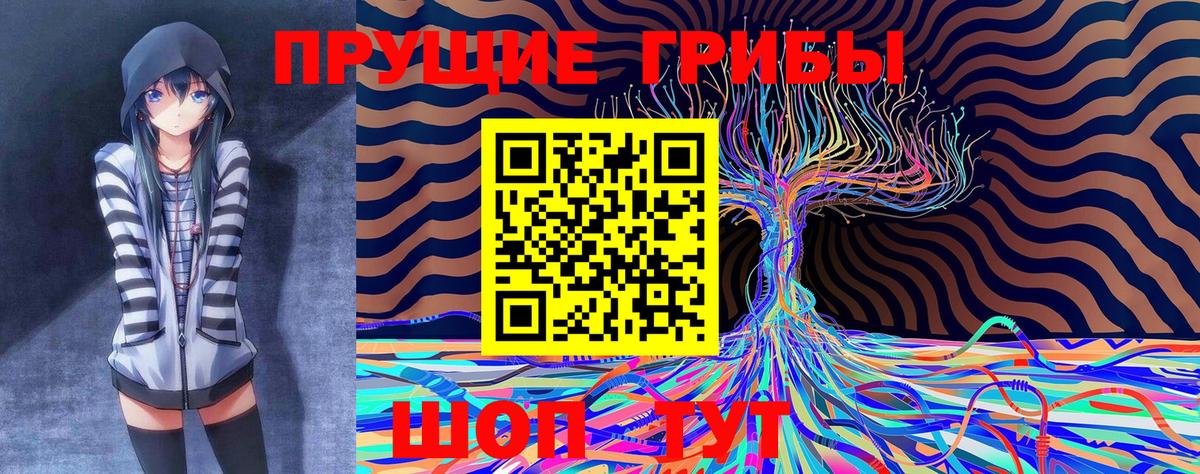 Галлюциногенные грибы GOLDEN TEACHER  Галлюциногенные грибы мухоморы  Вход с VPN  Лыткарино 